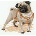 RIOLIS . RIO RIOLIS Counted Cross Stitch Kit 9.75X9.75 Pug Dog