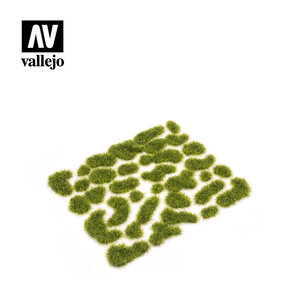 Vallejo Paints . VLJ Wild Moss Small 25mm