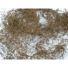 JTT Scenery Products . JTT dry vines, dead foliage