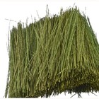 JTT Scenery Products . JTT FIELD GRASS, Light Green, Bag 15g