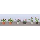 JTT Scenery Products . JTT FLOWER PLANTS POTTED ASSORTMENT 1, O-scale, 6/pk