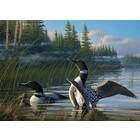 Cobble Hill . CBH Common Loons 1000Pc Puzzle