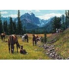 Cobble Hill . CBH Horse Meadow 1000Pc Puzzle