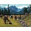 Cobble Hill . CBH Horse Meadow 1000Pc Puzzle