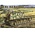 Border Model . BDM 1/35 Sd.Kfz. 164 Nashorn Early/Command Version with 4 Figures
