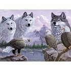 Royal (art supplies) . ROY Wolves & Eagles Paint By Number