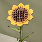 Robotime . ROE Wooden Sunflower 3D Wooden Puzzle