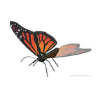 Metal Earth . MTE Metal Earth - Monarch Butterfly
