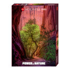 Heye Puzzles. HEY 1000pcs Power Of Nature Singing Canyon