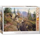 Eurographics Puzzles . EGP The Gathering 1000pc Puzzle