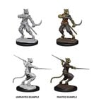 Wizkids . WZD D&D Nolzur's Marvelous Unpainted Miniatures: wave 7: Male Tabaxi Rogue