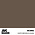 A K Interactive . AKI Real Colors Earth Brown FS 30099 17 ml.