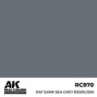 A K Interactive . AKI Real Colors RAF Dark Sea Grey BS381C/638 17 ml.