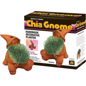 Chia Pet . CHA Chia Gnome