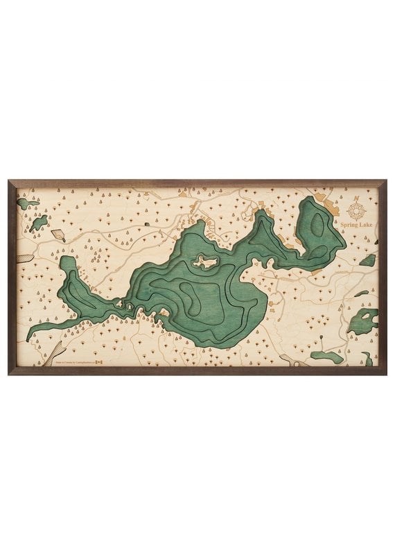 Spring Lake 3d Wall Map 81cmx40.5cm