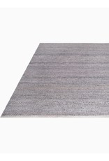 Biltmore - Natural - Indoor Outdoor PET (Polyester Fiber) Rug 4'x6'