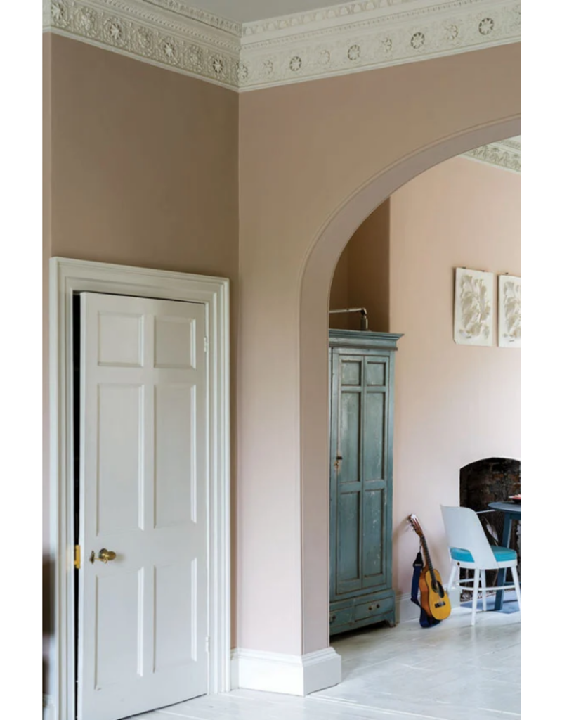 Farrow & Ball Paint Dead Salmon No. 28 – Farrow & Ball Paint