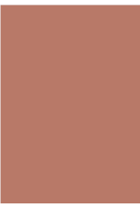 Farrow & Ball Paint Red Earth No. 64 – Farrow & Ball Paint