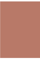 Farrow & Ball Paint Red Earth  No. 64