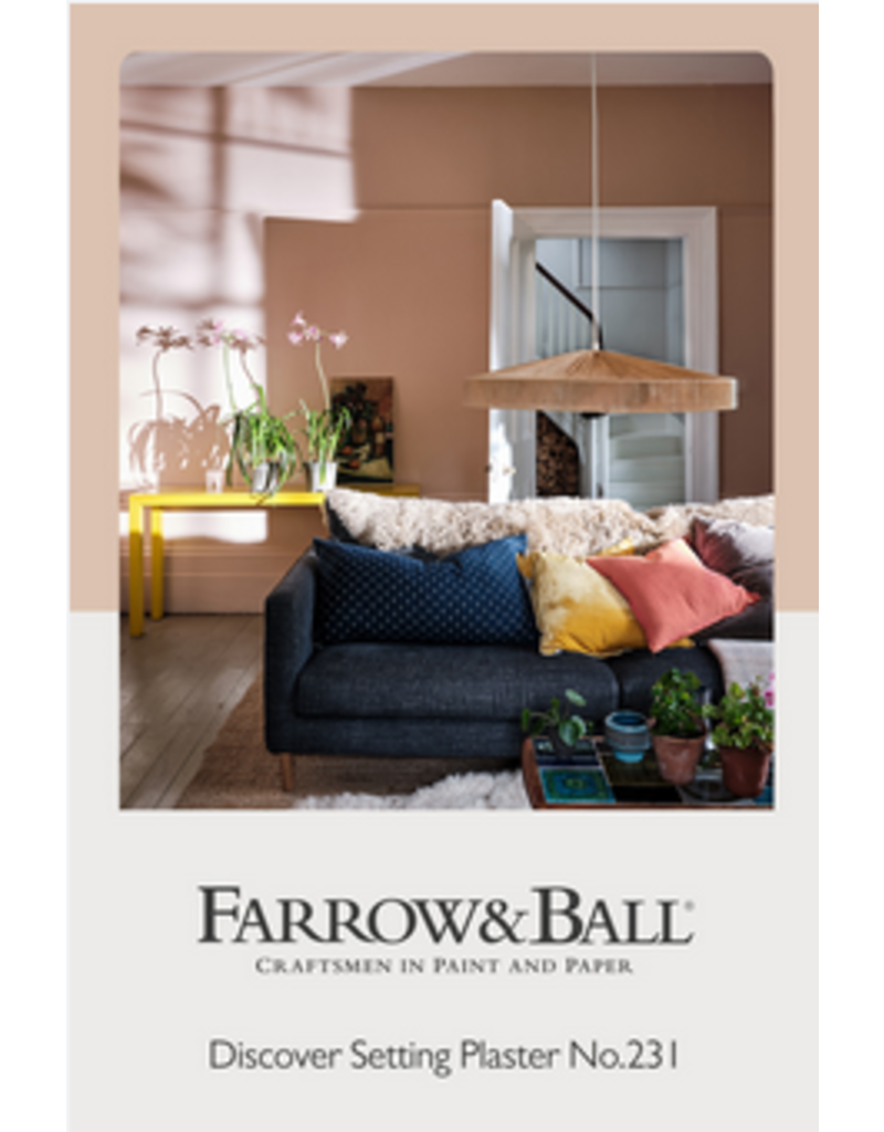 Farrow & Ball Paint Setting Plaster No. 231 – Farrow & Ball Paint