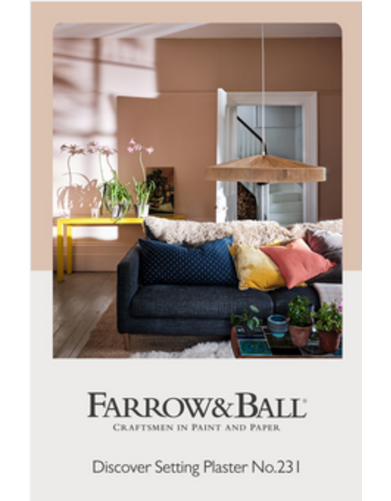 Farrow & Ball Paint Setting Plaster  No. 231