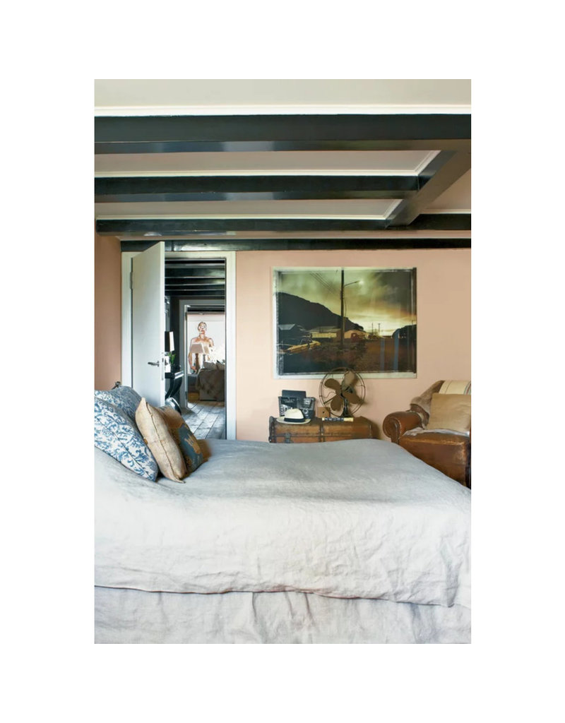 Farrow & Ball Paint Setting Plaster No. 231 – Farrow & Ball Paint