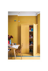 Farrow & Ball Paint India Yellow  No. 66