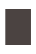 Farrow & Ball Paint Tanner’s Brown No. 255 – Farrow & Ball Paint