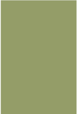 Farrow & Ball Paint Olive  No. 13