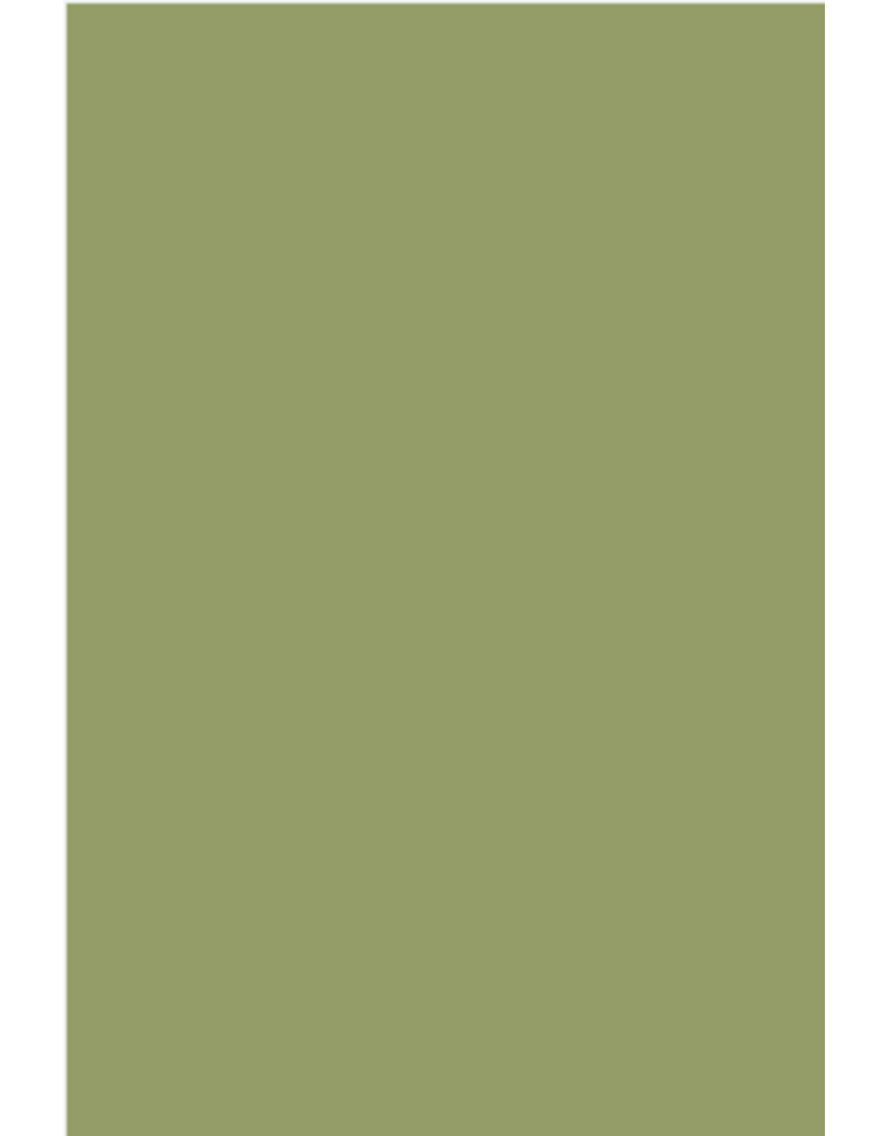 Farrow & Ball Paint Olive  No. 13