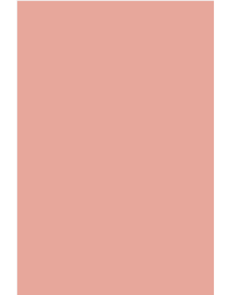 Farrow & Ball Paint Blooth Pink  No. 9806