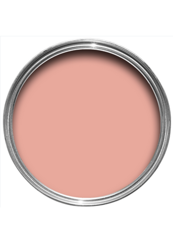 Farrow & Ball Paint Blooth Pink  No. 9806