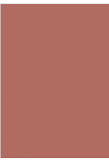 Farrow & Ball Paint Book Room Red  No. 50