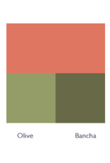 Farrow & Ball Paint Bisque  No. 9811