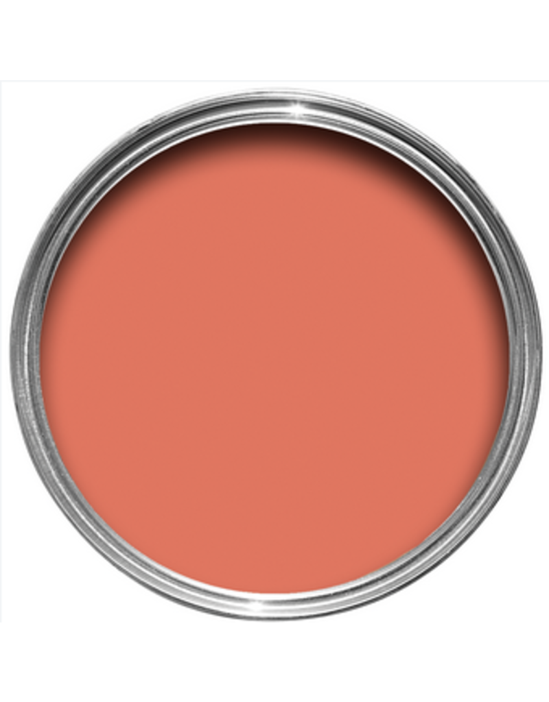 Farrow & Ball Paint Bisque  No. 9811