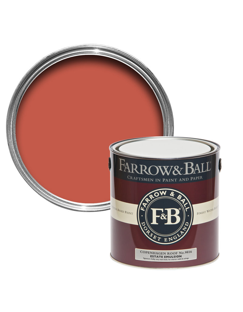 Farrow & Ball Paint Copenhagen Roof  No. 9816