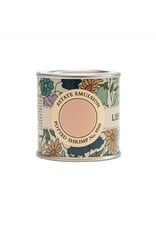 Farrow & Ball Paint Potted Shrimp  No. 9906