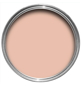 Farrow & Ball Paint Pink Cup  No. 9801