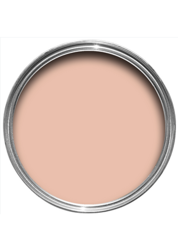 Farrow & Ball Paint Pink Cup  No. 9801