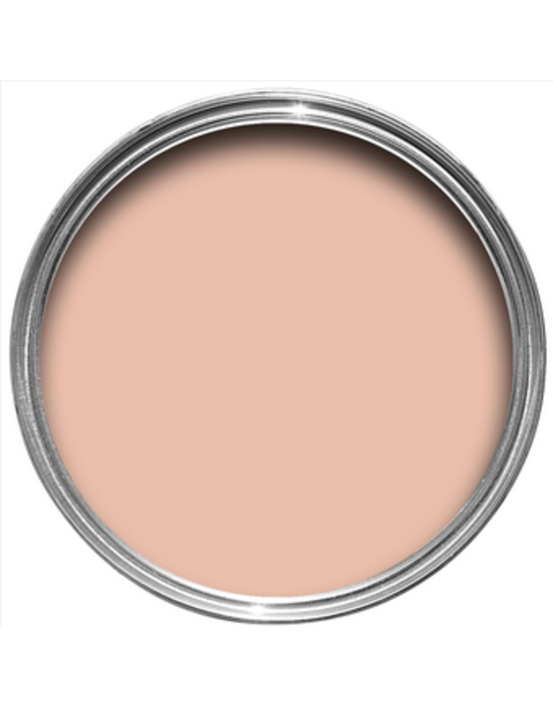 Farrow & Ball Paint Pink Cup  No. 9801