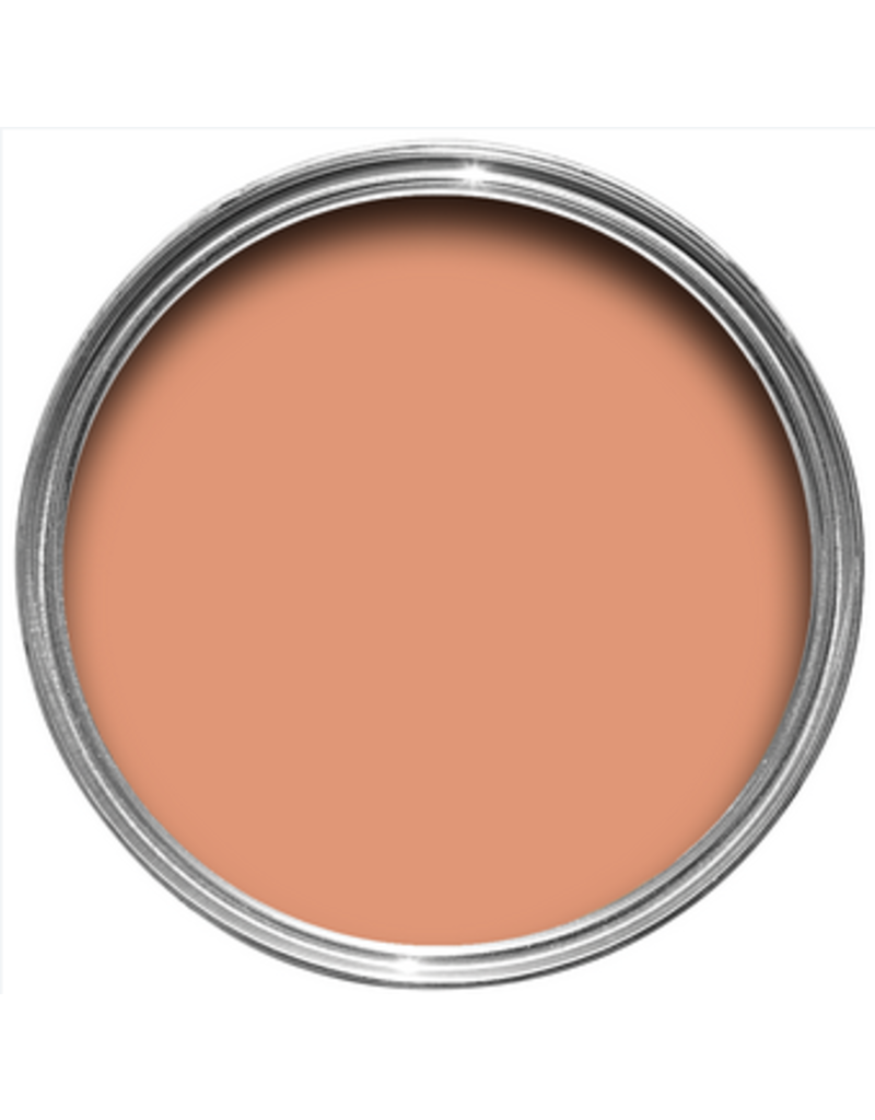 Farrow & Ball Paint Ointment Pink  No. 21