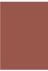 Farrow & Ball Paint Singed Red  No. G15