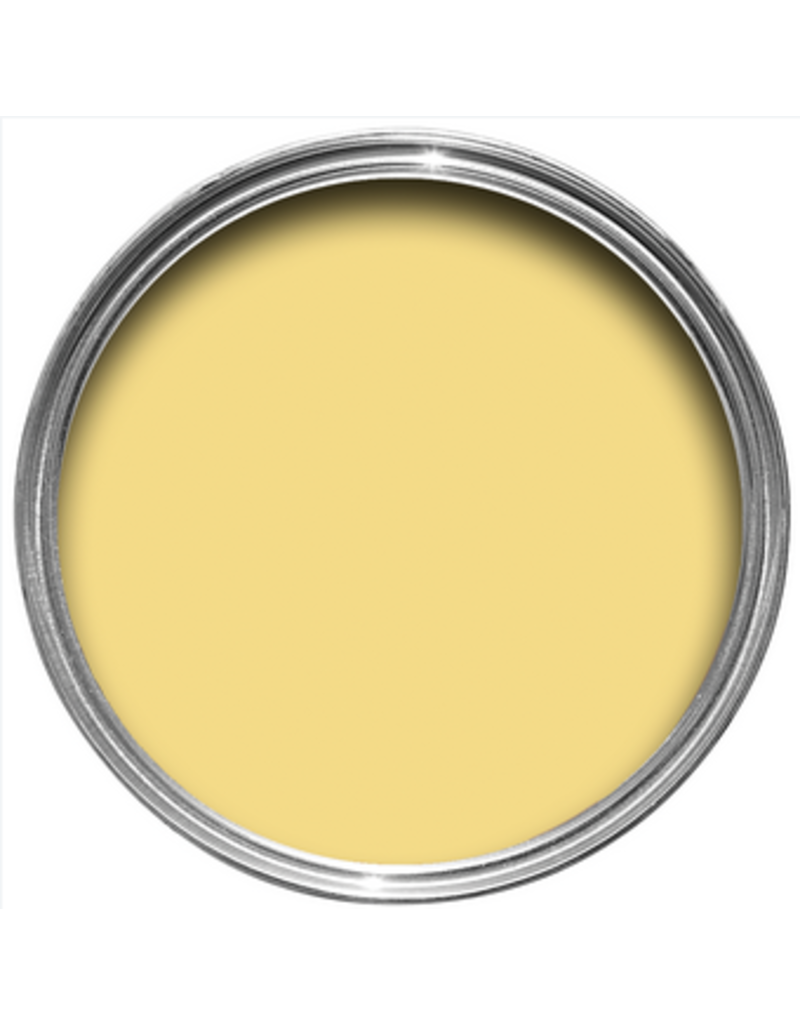 Farrow & Ball Paint Sherbert Lemon  No. 9914