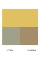 Farrow & Ball Paint Ciara Yellow  No. 73