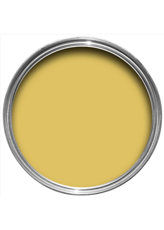 Farrow & Ball Paint Ciara Yellow  No. 73