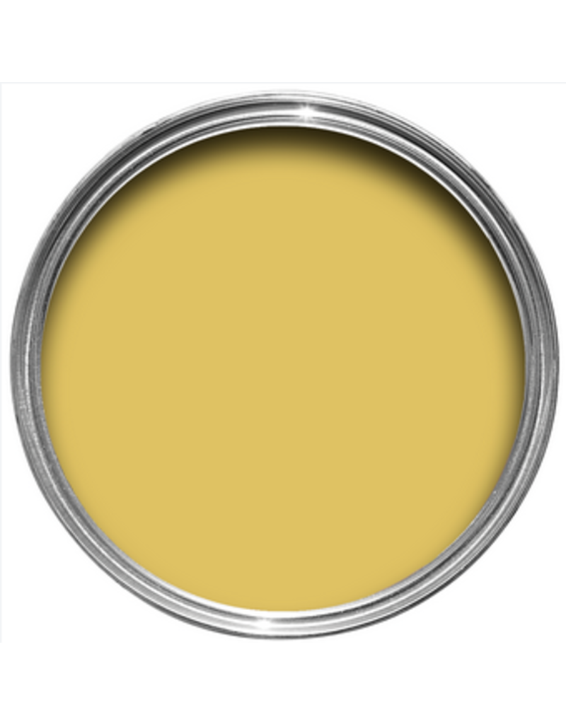 Farrow & Ball Paint Ciara Yellow  No. 73