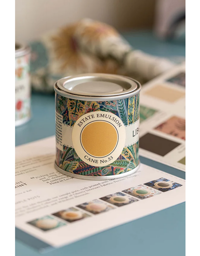 Farrow & Ball Paint Cane  No. 53