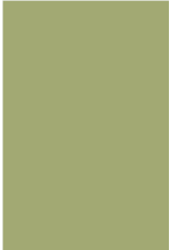 Farrow & Ball Paint Saxon Green  No. 80