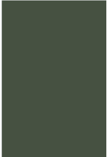 Farrow & Ball Paint Minster Green  No. 224