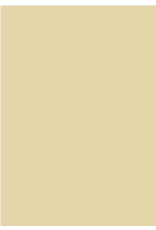 Farrow & Ball Paint String  No. 8